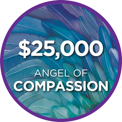 Angels of Hope Special - 2021 4